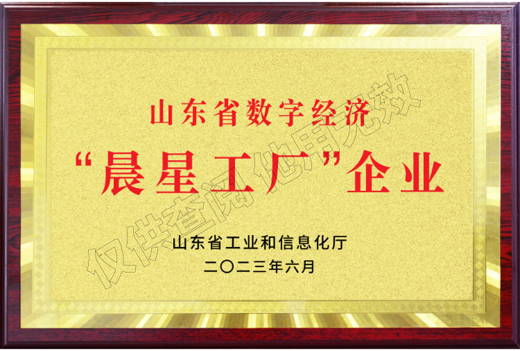 山東省數(shù)字經濟“晨星工廠”企業(yè)